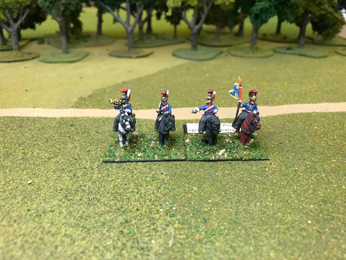 British Horse Guards In Reserve