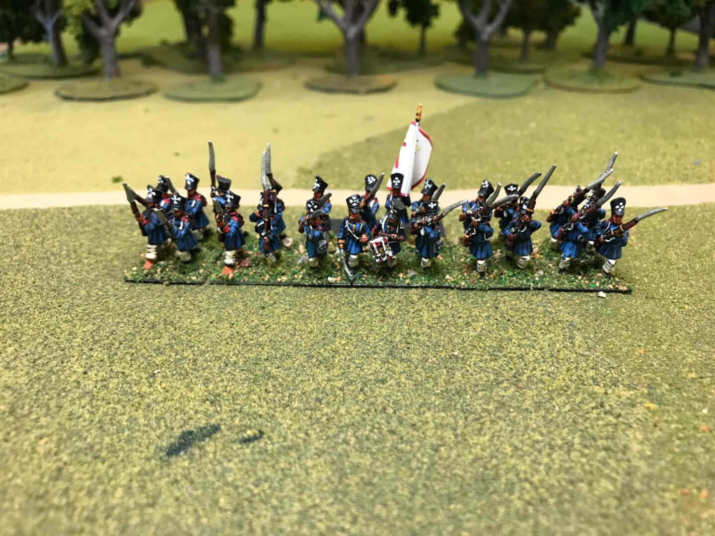 Prussian Landwehr With Command